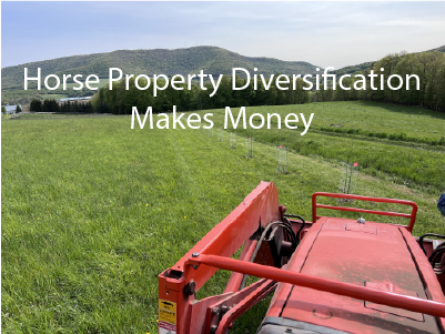 Horse Property Diversification Makes Money