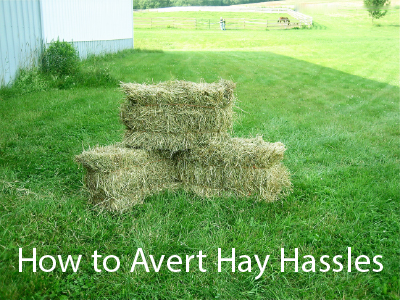 How to Avert Hay Hassles