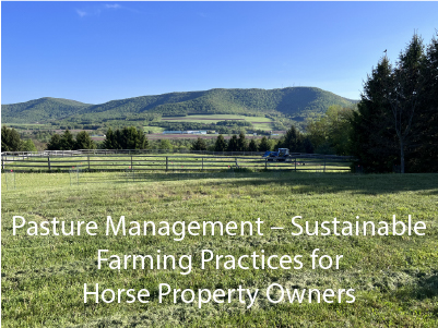 Pasture Management – Sustainable Farming Practices for Horse Property Owners