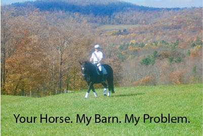 Your Horse. My Barn. My Problem.